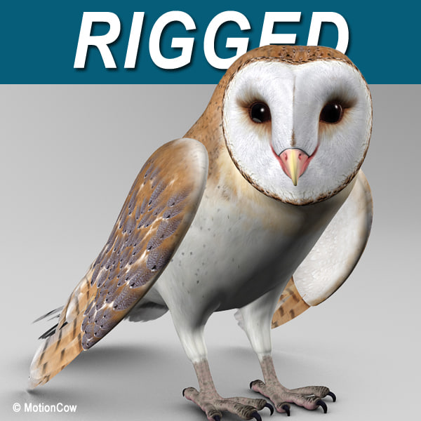 realistic barn owl folded 3d model